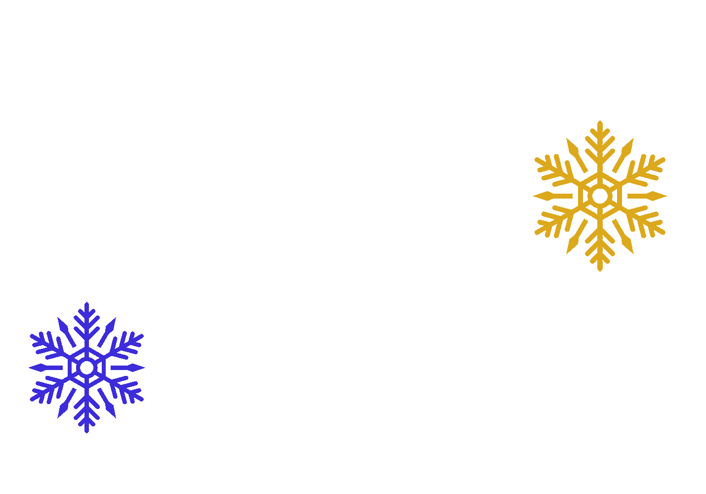 Happy New Year (00800107)